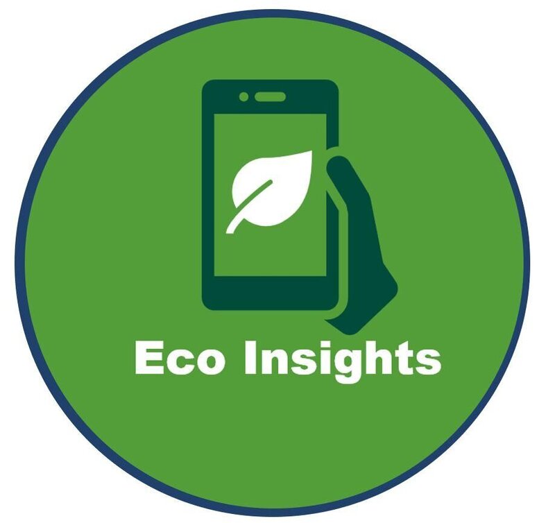 ecoinsights-logo.jpg