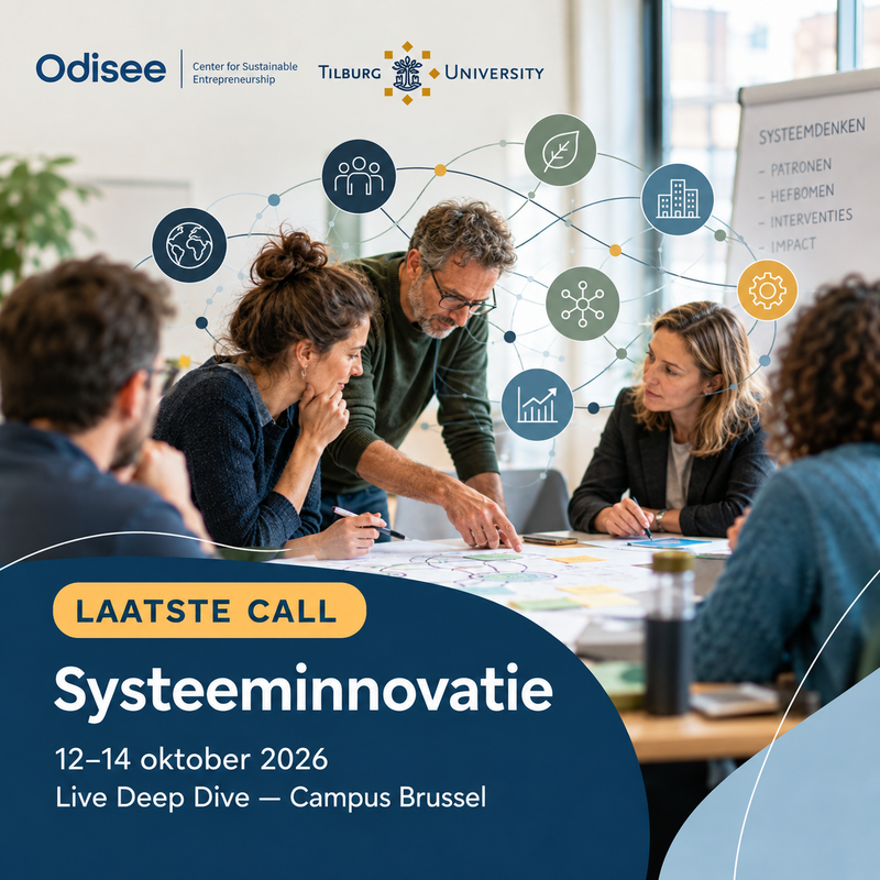 systeemdenken