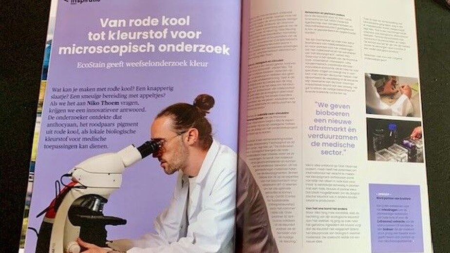 Ecostain project in Innovation Playground magazine