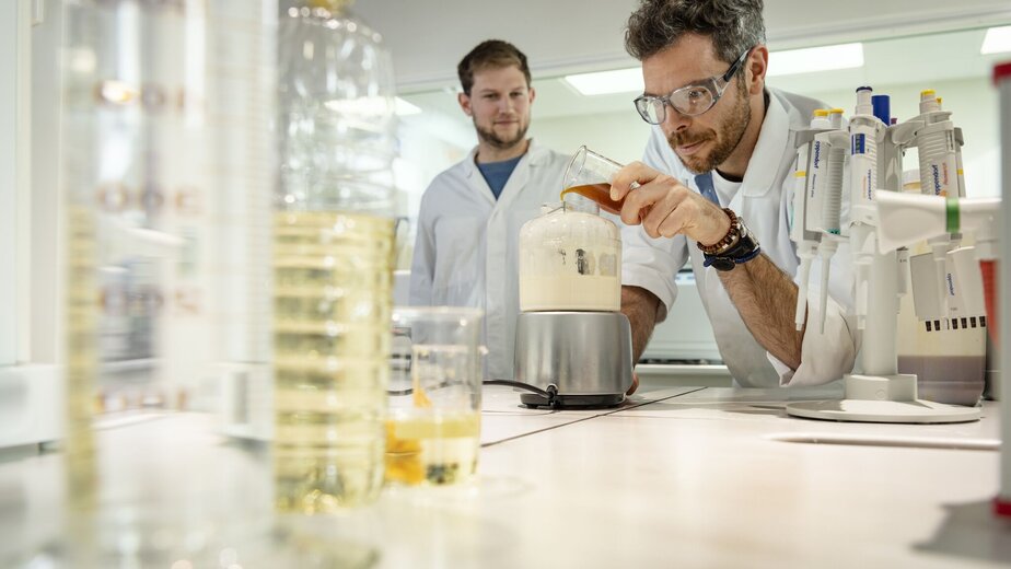 Verrijking van plantaardige oliën met biocomponenten mayo